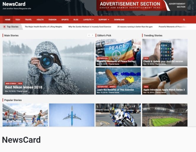 NewsCard WordPress theme png