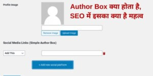 What is Author Box, what is its importance in SEO?