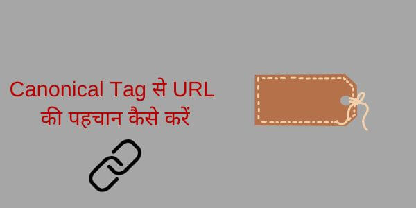 How to Identify URL from Canonical Tag