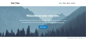 Process of creating Blog on WordPress